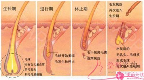 做一次E光永久<a href=http://www.washiqing.com/listinfo-670-0.html target=_blank class=infotextkey>脱毛</a>要花多少钱